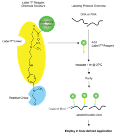 A diagram of a chemical reaction Description automatically generated